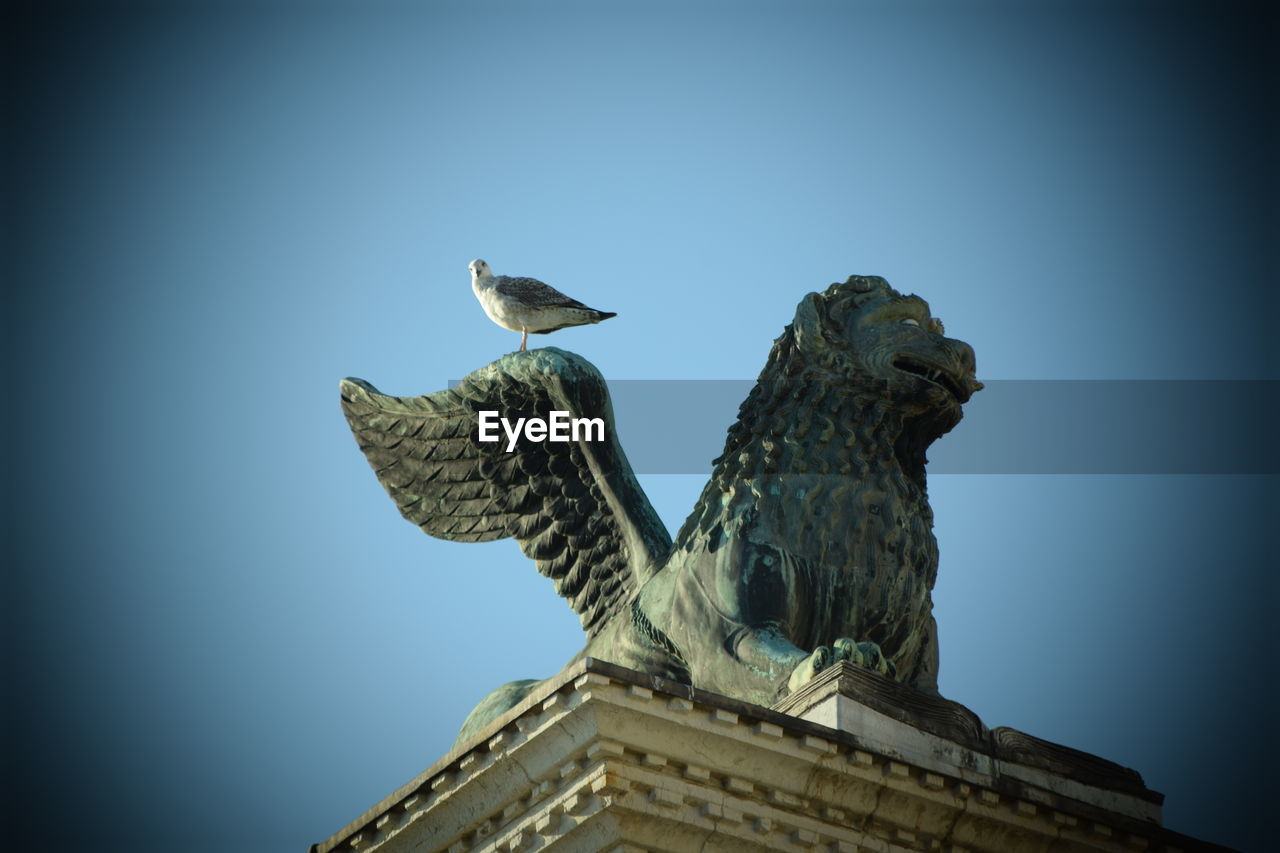 LOW ANGLE VIEW OF BIRD PERCHING AGAINST SKY