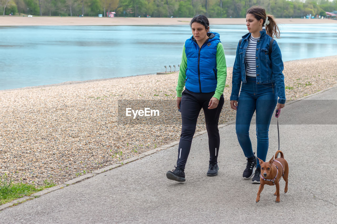 Mother and her teen girl walking with pinscher dog by the of relationship between human and animal.