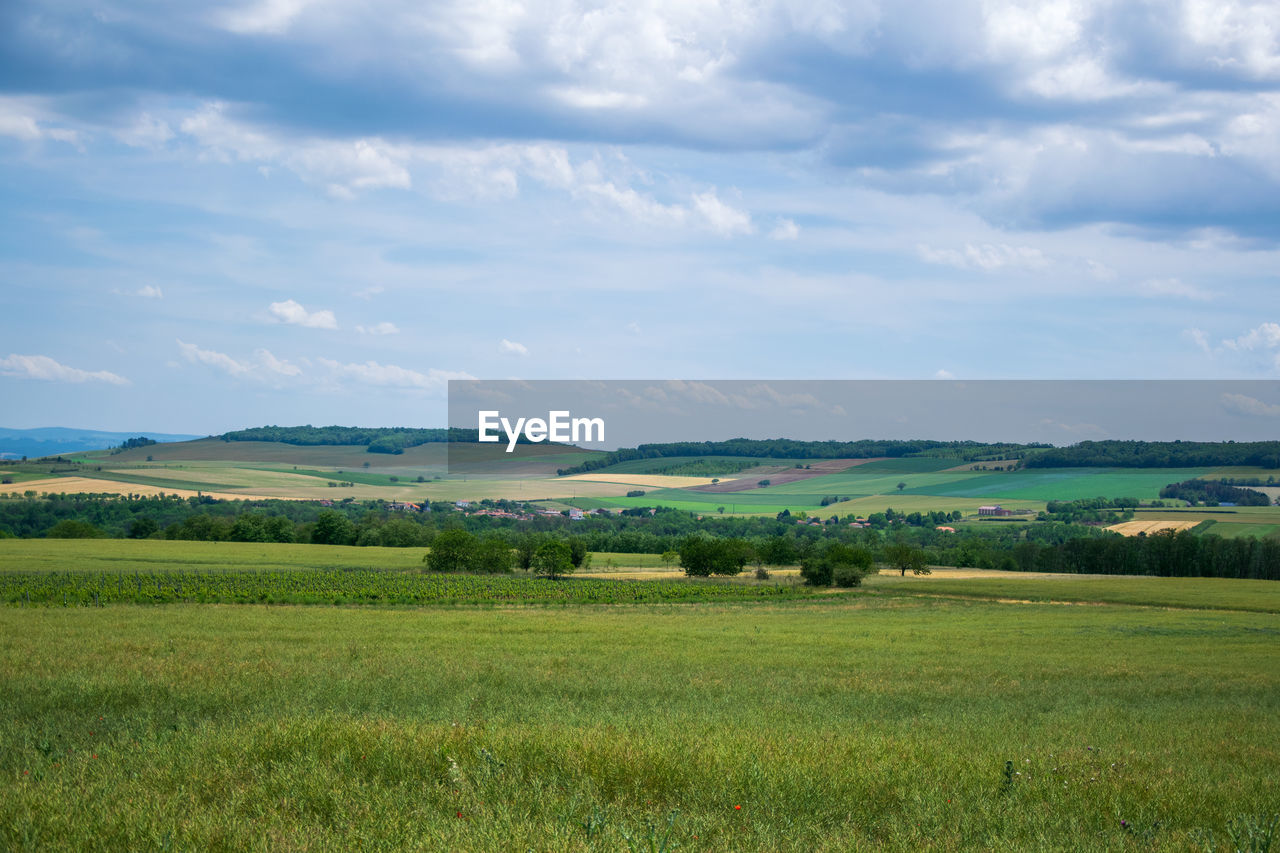 SCENIC VIEW OF LAND AGAINST SKY