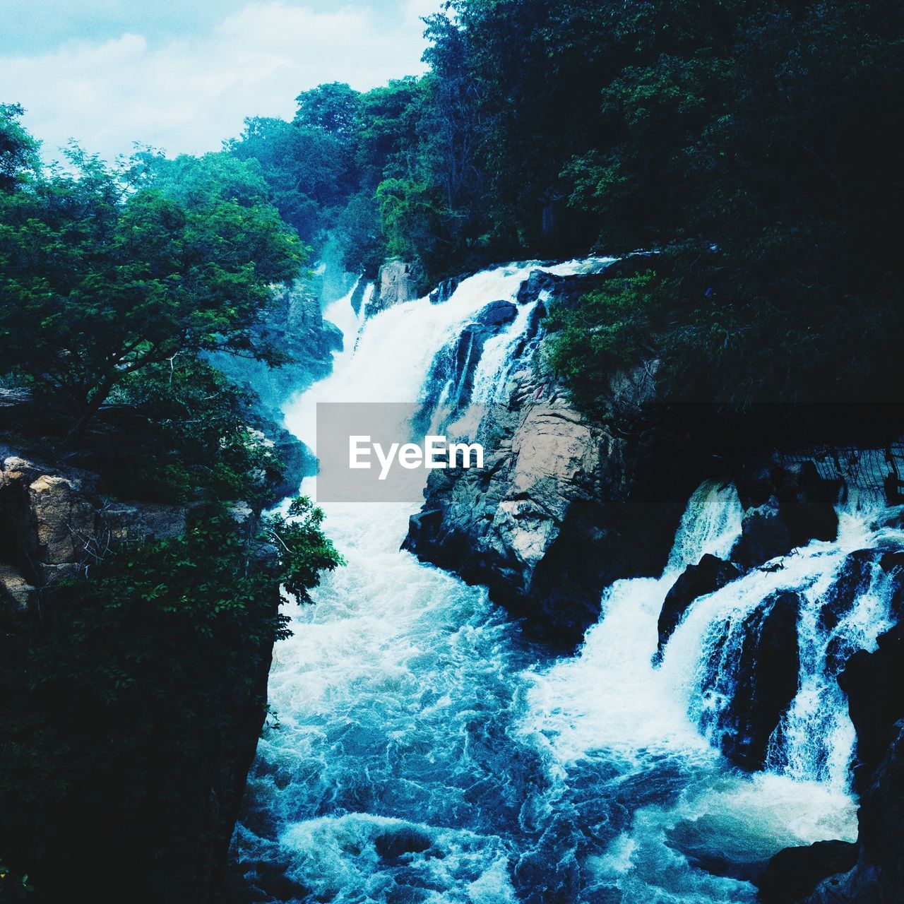 VIEW OF WATERFALL IN FOREST