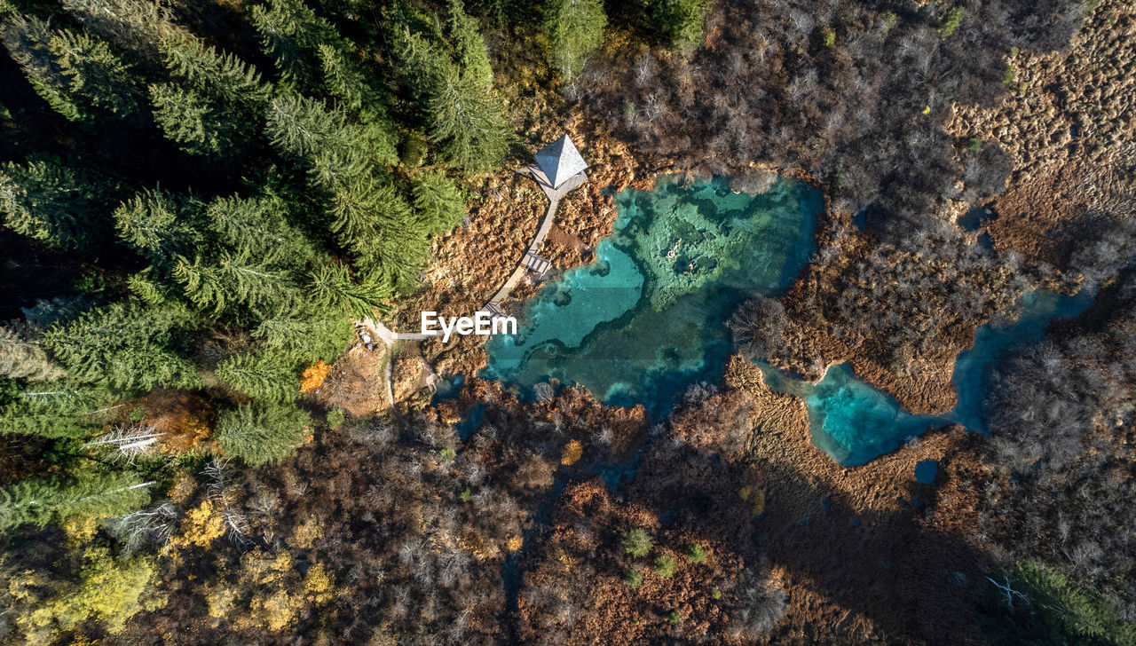 Spectacular aerial view of lakes at zelenci nature reserve in slovenia