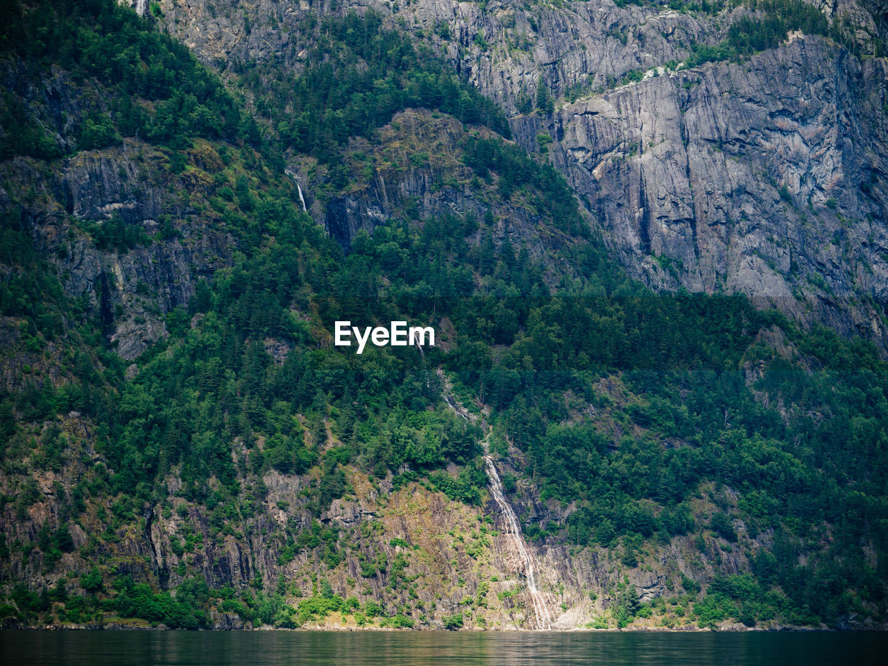 SCENIC VIEW OF RIVER BY TREE MOUNTAINS