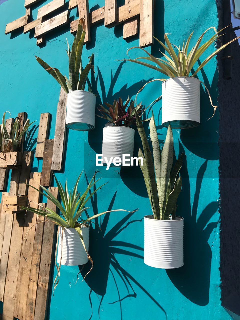 POTTED PLANTS HANGING ON RAILING