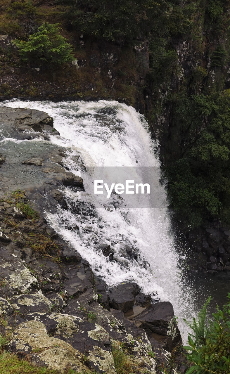 VIEW OF WATERFALL IN FOREST