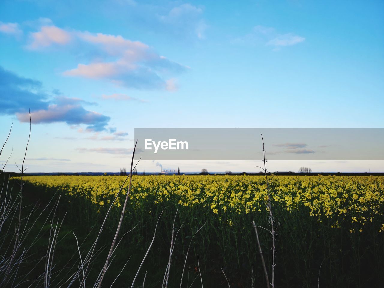 SCENIC VIEW OF FIELD AGAINST CLOUDY SKY