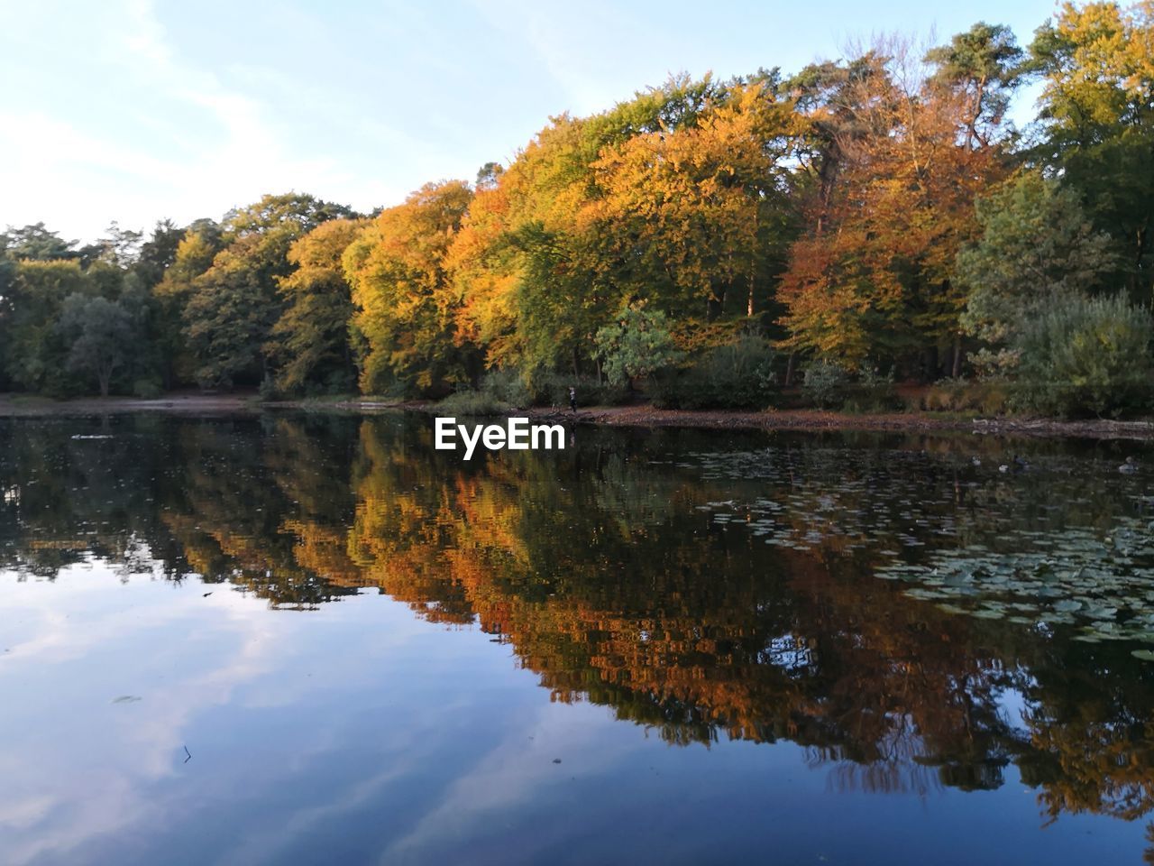 Scenic view of lake by trees against sky