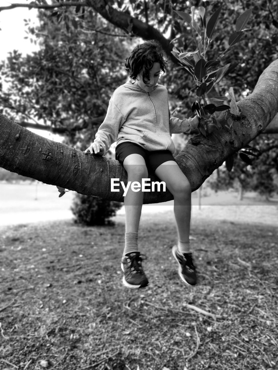 tree, full length, plant, black and white, leisure activity, lifestyles, nature, casual clothing, monochrome photography, day, one person, black, women, white, monochrome, child, childhood, adult, outdoors, footwear, land, spring, female, person, young adult, men, park, rear view, park - man made space, clothing, emotion