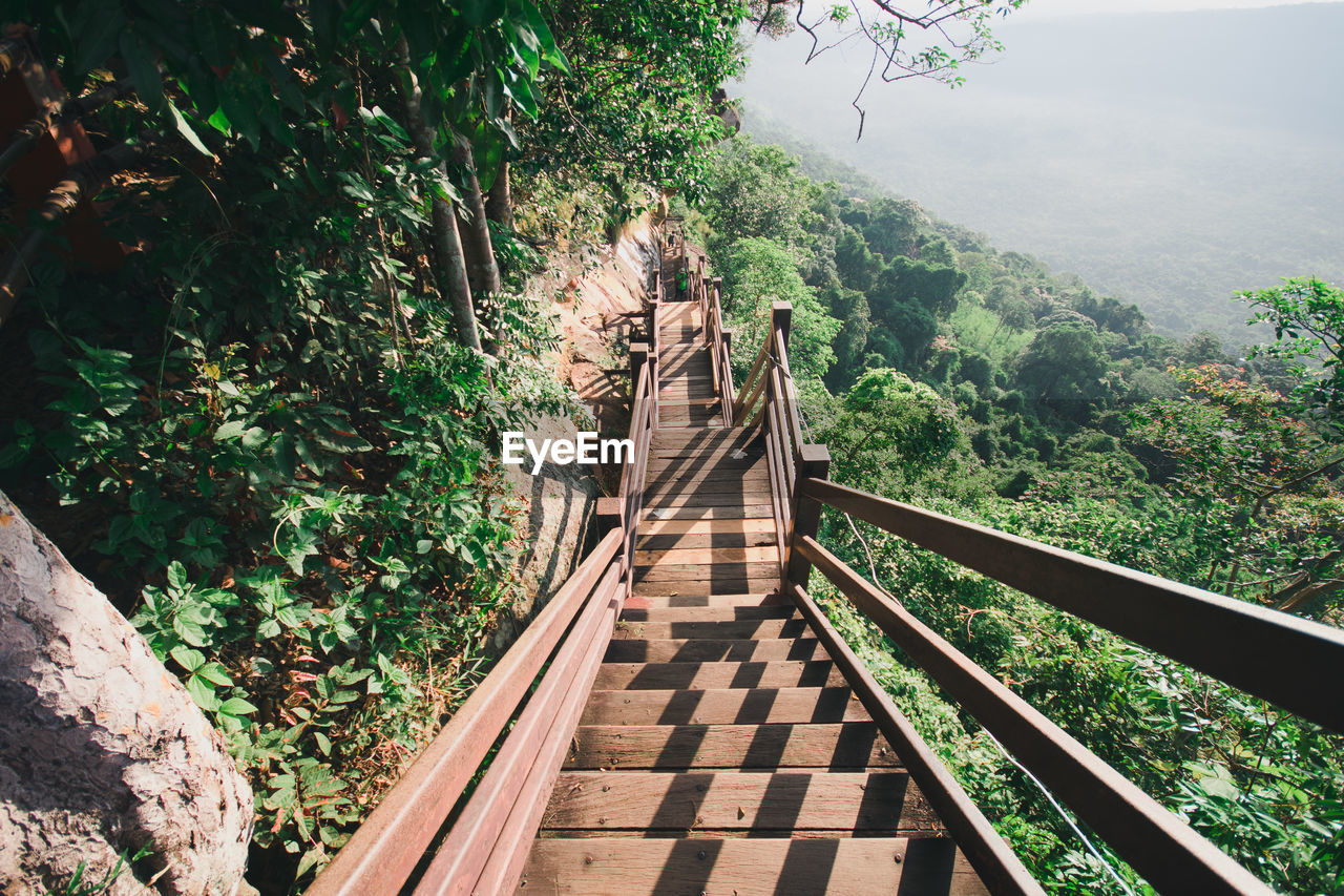 High angle view of steps at forest