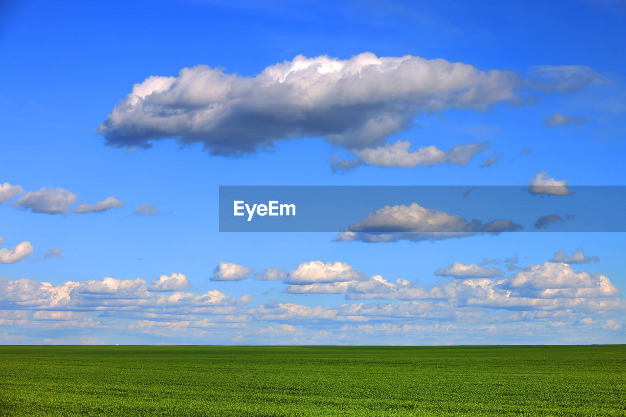 sky, grassland, plain, horizon, environment, cloud, landscape, field, prairie, blue, plant, land, grass, nature, meadow, beauty in nature, scenics - nature, steppe, horizon over land, green, sunlight, no people, rural scene, tranquility, agriculture, tranquil scene, day, pasture, outdoors, rural area, cloudscape, growth, idyllic, natural environment, crop, non-urban scene, flower, cereal plant, urban skyline, rapeseed, summer, hill, tree