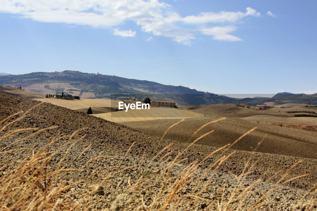 SCENIC VIEW OF FARM AGAINST SKY