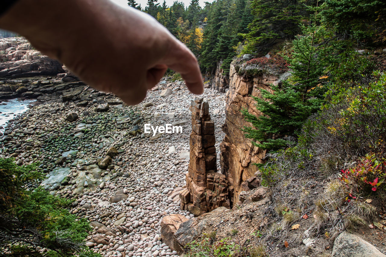 Cropped hand of person pointing at rock in forest