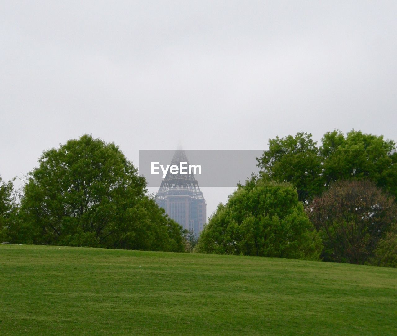 Trees growing by building against sky at park