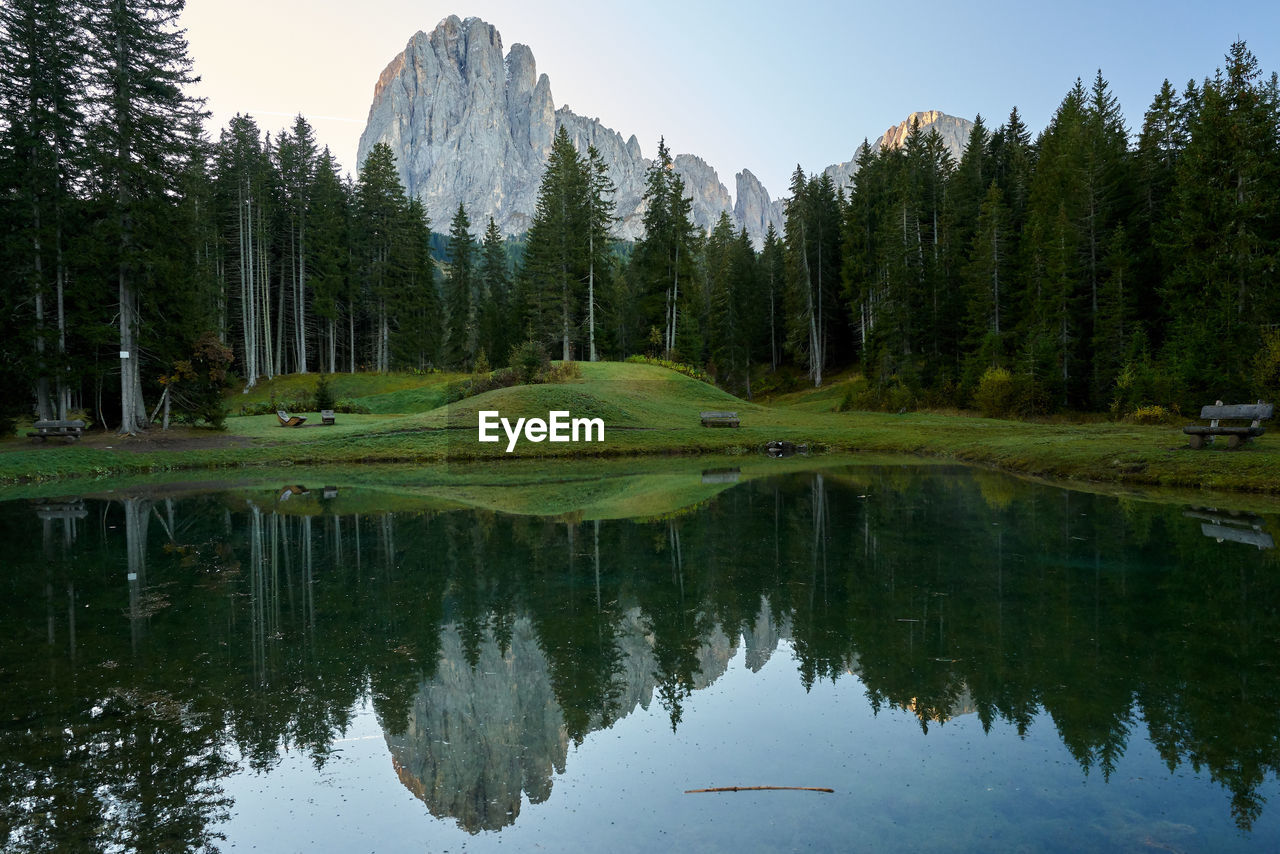 SCENIC VIEW OF LAKE AGAINST TREES