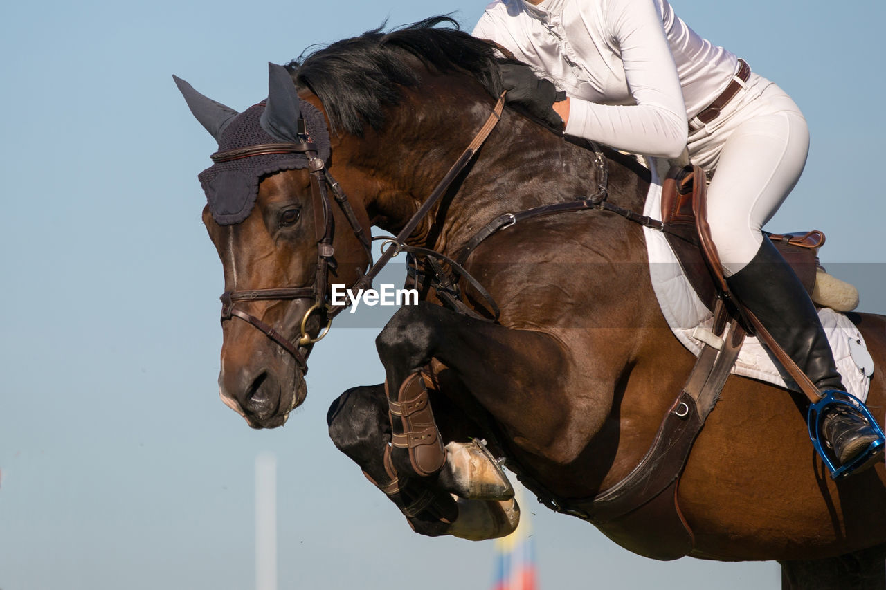 Low section of jockey jumping horse over hurdles against sky