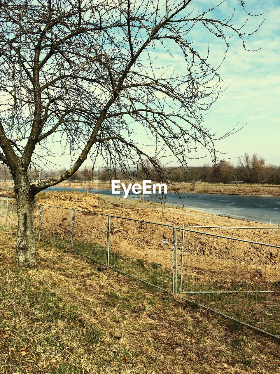 BARE TREES ON LANDSCAPE AGAINST THE SKY