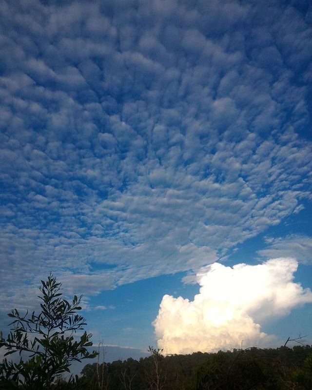 SCENIC VIEW OF LANDSCAPE AGAINST CLOUDY SKY