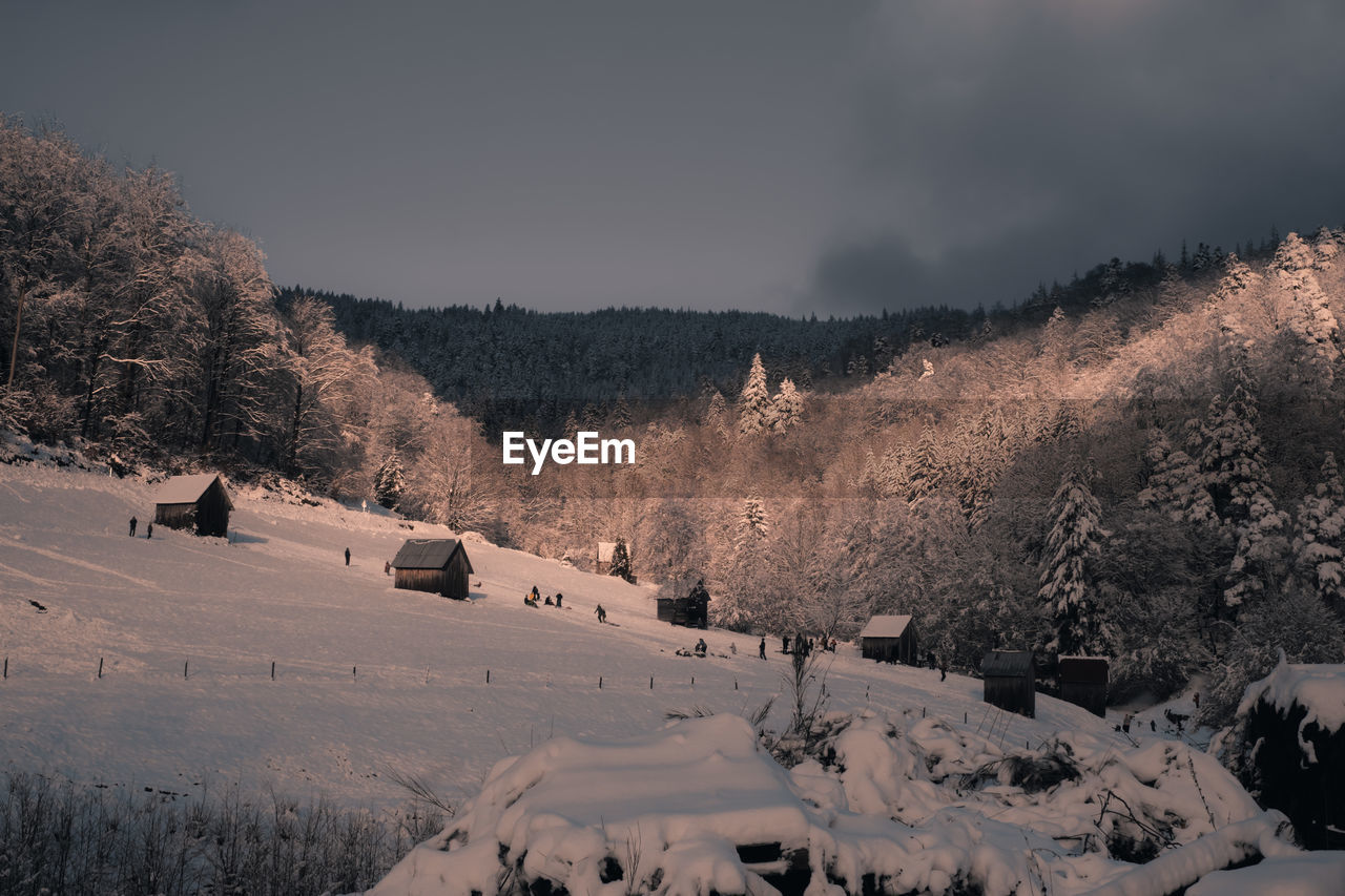 Scenic view of snow covered field, mountain and trees against sky.