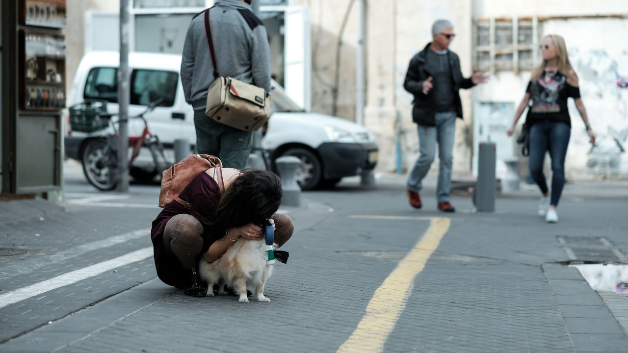 DOGS ON FOOTPATH IN CITY