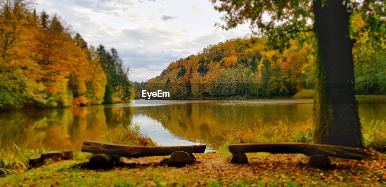 SCENIC VIEW OF LAKE AGAINST TREES DURING AUTUMN