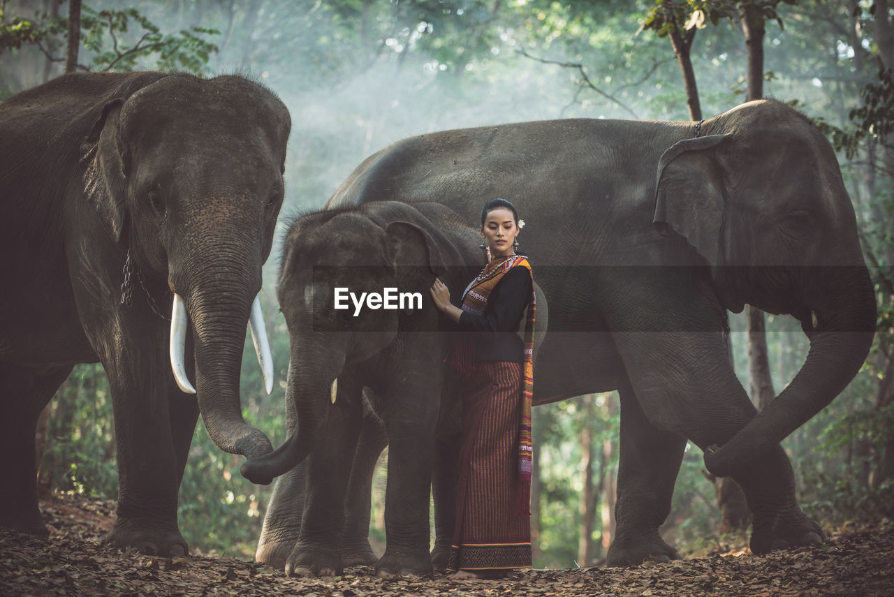 Young woman standing with elephant in forest