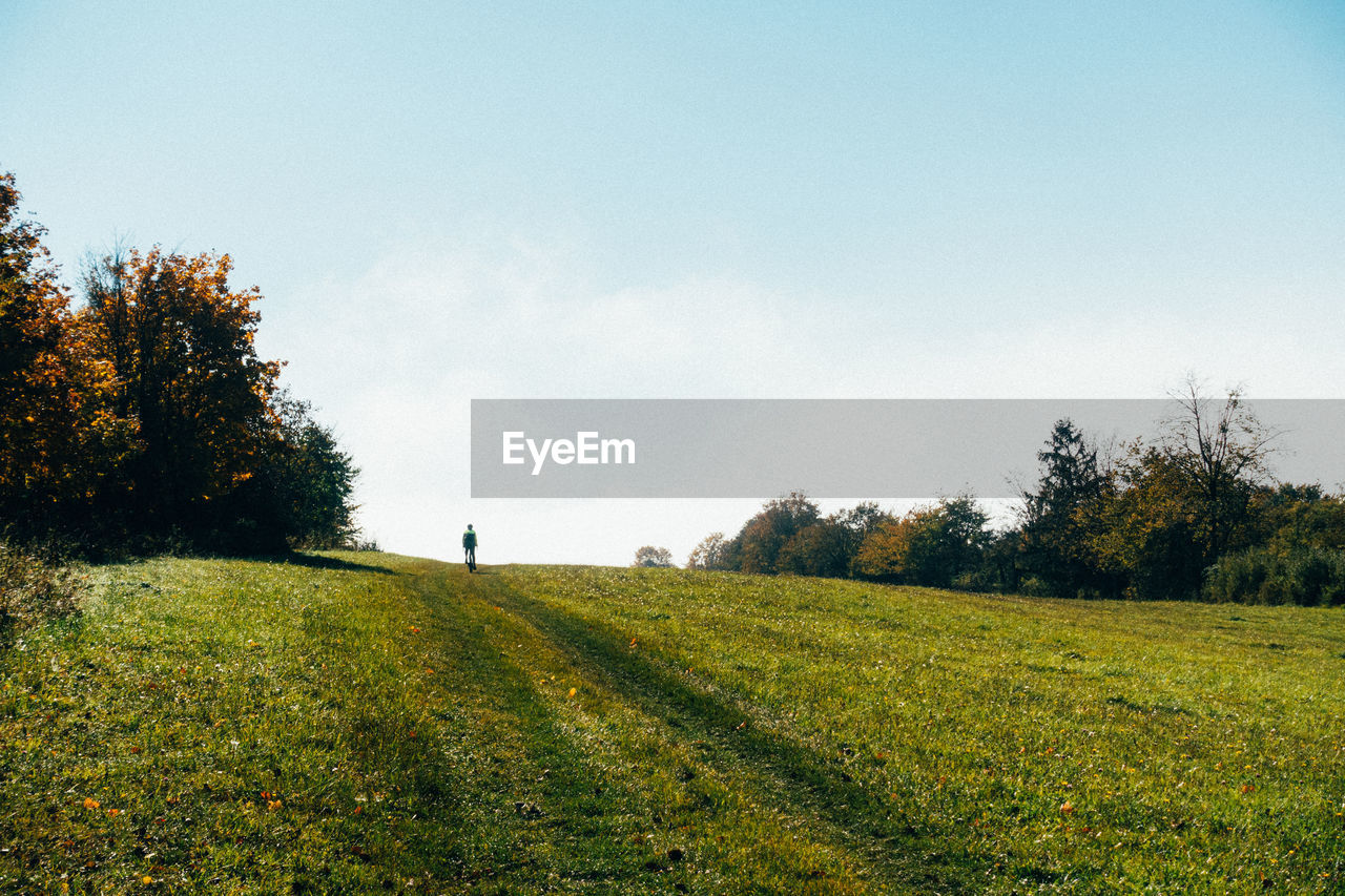 Scenic view of field against clear sky