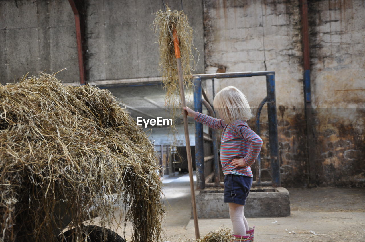 Girl holding tool by hay bale at barn