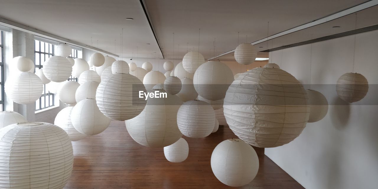 CLOSE-UP OF SHELLS ON TABLE AGAINST WHITE WALL