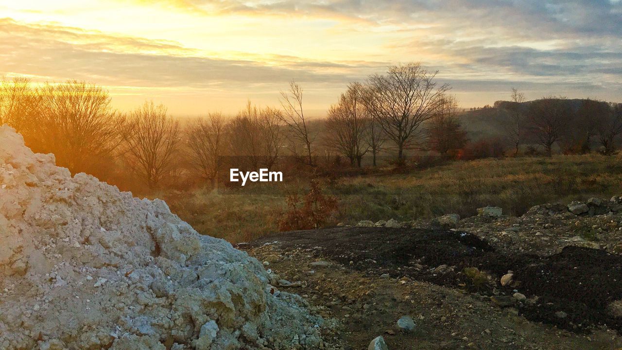 TREES ON LANDSCAPE AGAINST SKY AT SUNSET
