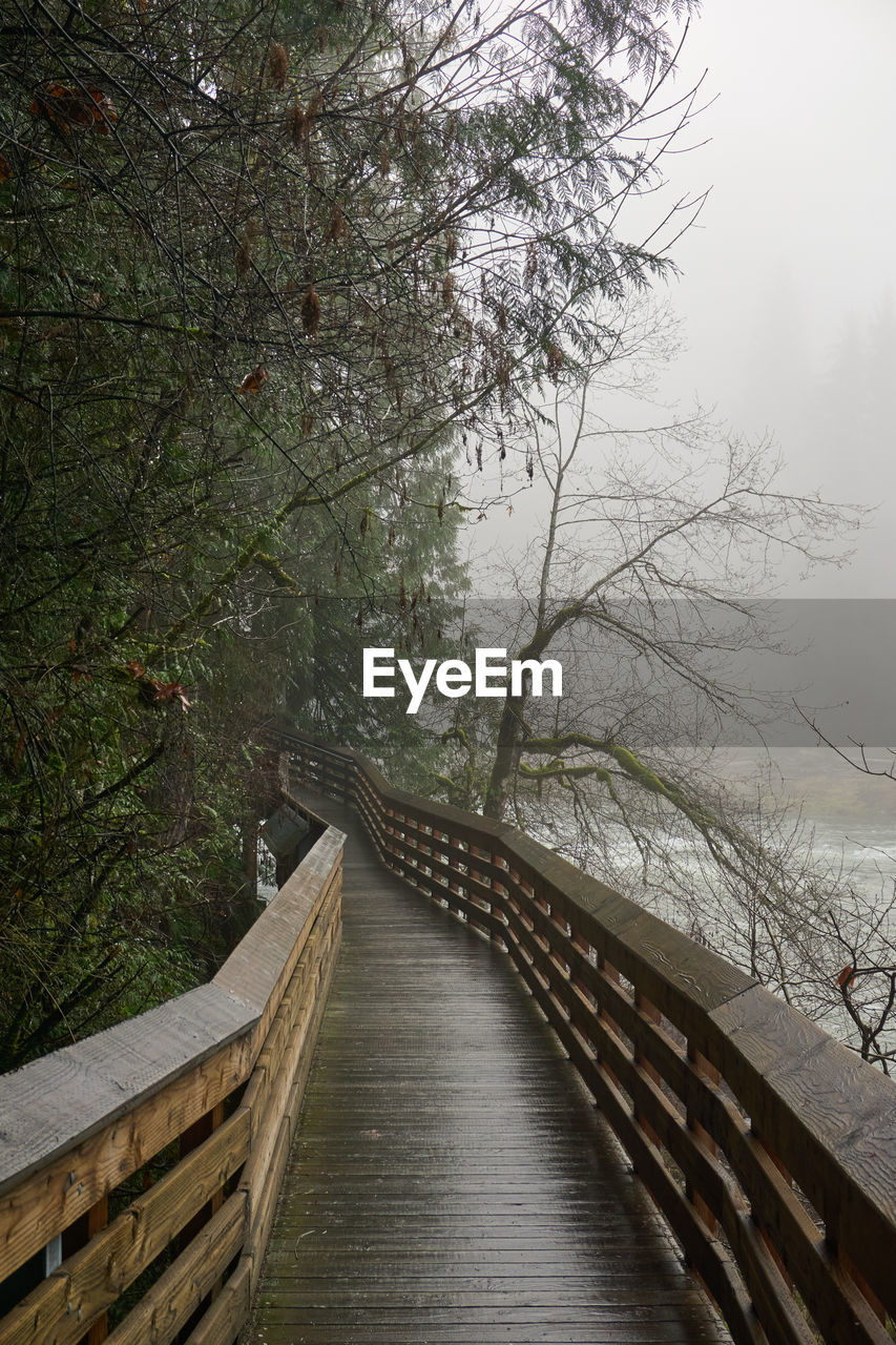 tree, plant, nature, bridge, the way forward, water, railing, tranquility, footbridge, beauty in nature, morning, wood, no people, fog, footpath, scenics - nature, tranquil scene, forest, architecture, land, built structure, river, non-urban scene, winter, outdoors, day, diminishing perspective, branch, sky, environment, boardwalk, sunlight, transportation, leaf, idyllic, bare tree, travel destinations, autumn, cold temperature, landscape, growth