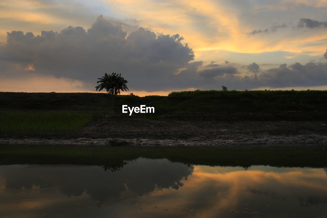 sky, reflection, morning, environment, cloud, nature, water, landscape, beauty in nature, tree, dawn, scenics - nature, plant, sunrise, tranquility, land, horizon, no people, lake, tranquil scene, sun, outdoors, twilight, tropical climate, sunlight, travel destinations, travel, dramatic sky, non-urban scene, grass, forest, tourism, rural scene, social issues, idyllic, multi colored, silhouette, wetland, marsh, palm tree, orange color