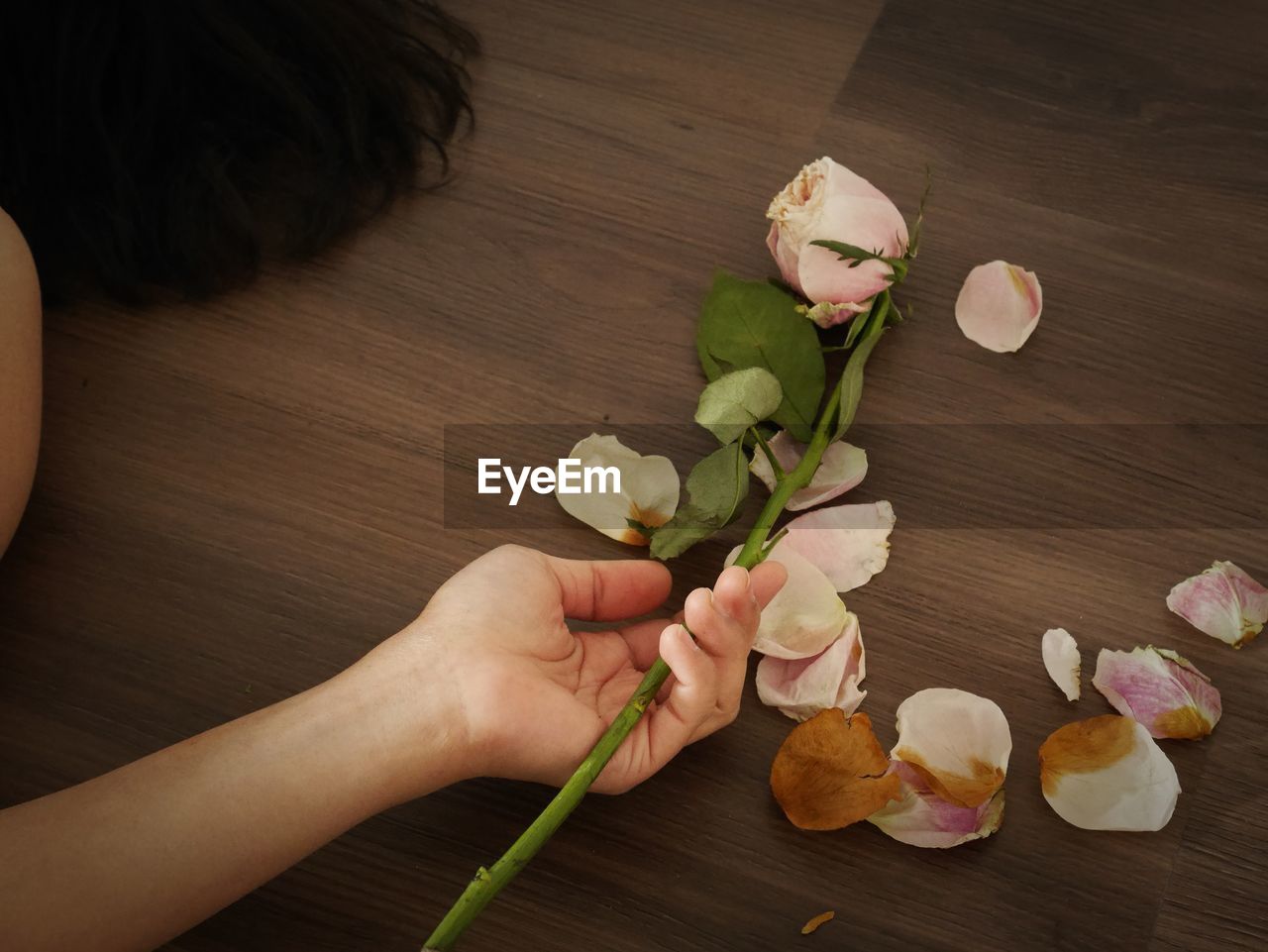 Cropped image of hand holding rose on table