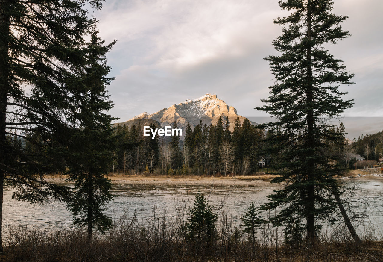 Scenic view of river by trees and mountain against cloudy sky