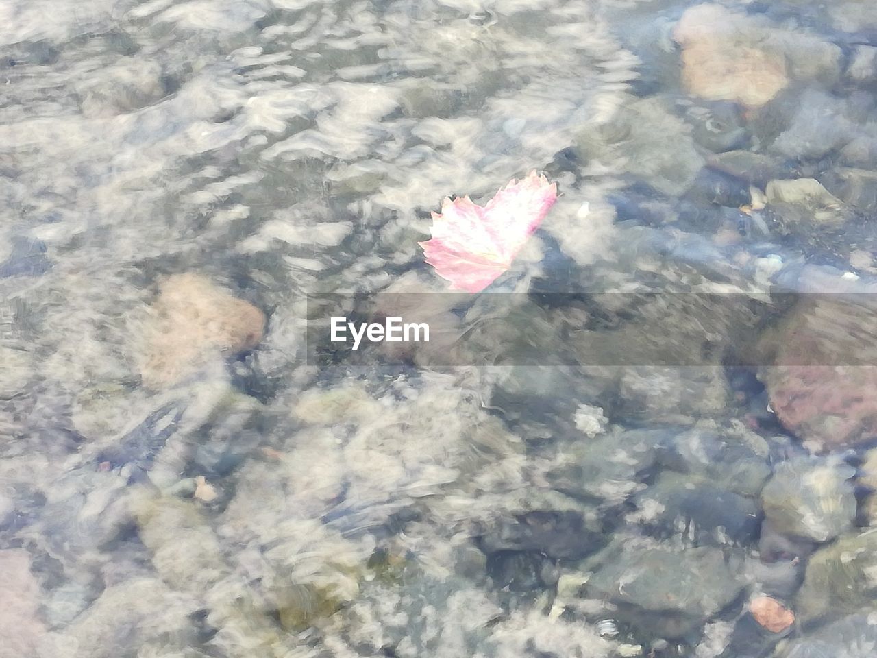 HIGH ANGLE VIEW OF FLOATING ON WATER