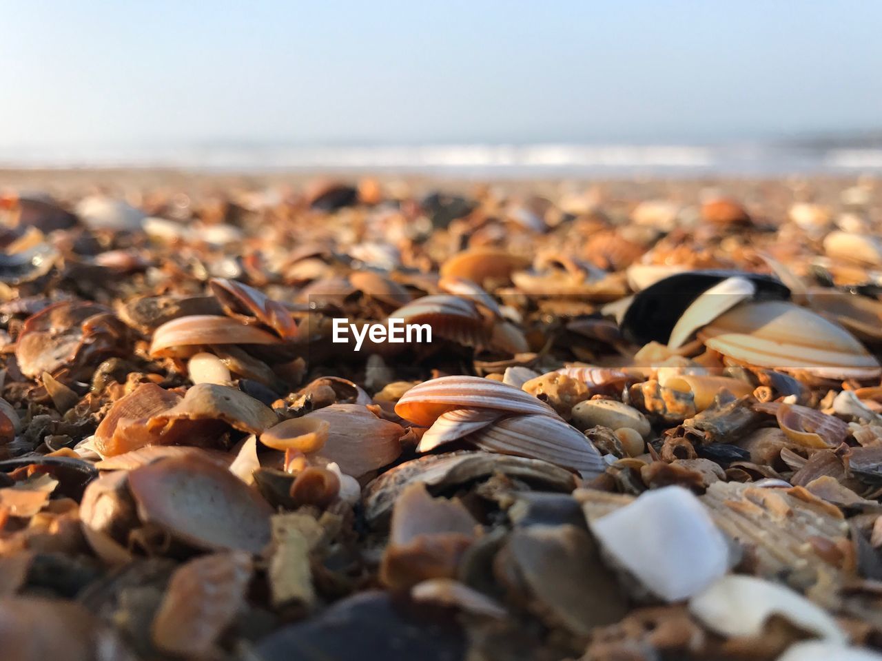 Close-up of pebbles on beach against sky