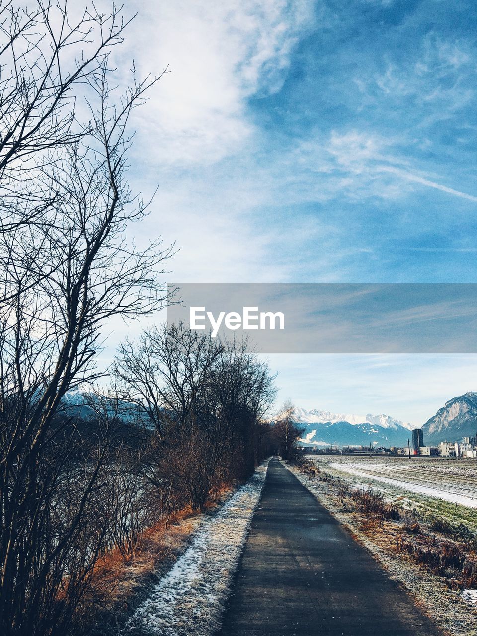 Empty road along bare trees against sky