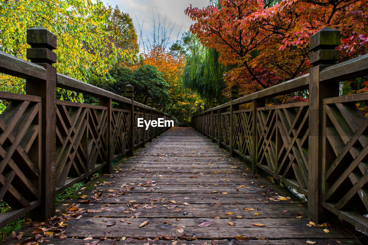 Bridge amidst trees in autumn against sky