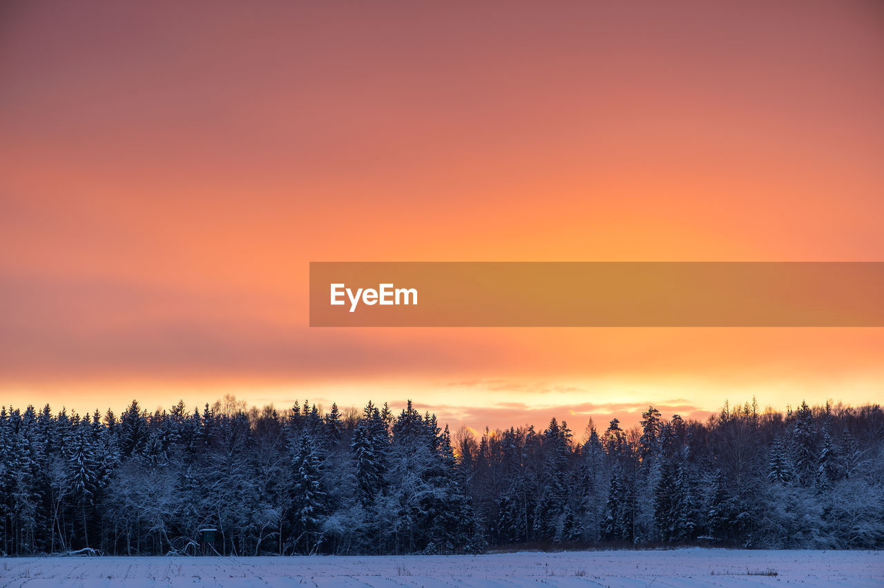 scenic view of snow covered landscape against sky during sunset