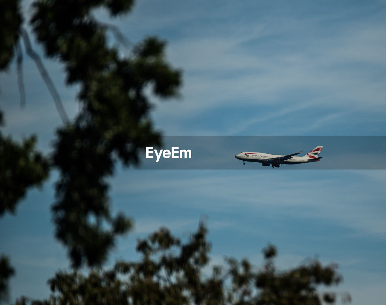 LOW ANGLE VIEW OF AIRPLANE FLYING OVER SKY