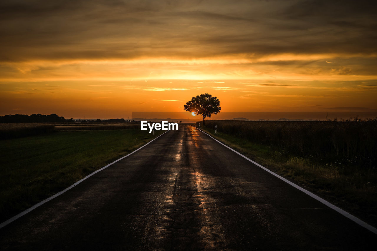 ROAD AMIDST TREES AND SKY DURING SUNSET