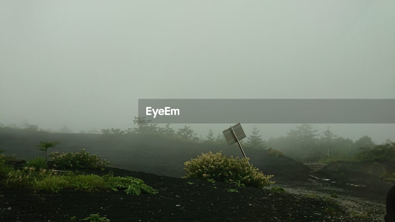 PLANTS GROWING ON LAND