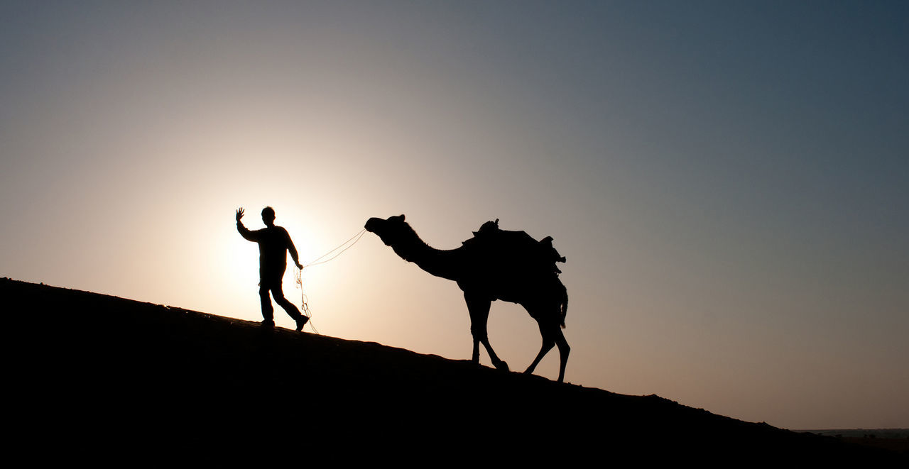 Side view of silhouette herder with camel