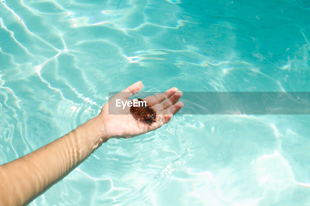 Cropped hand of woman swimming in pool