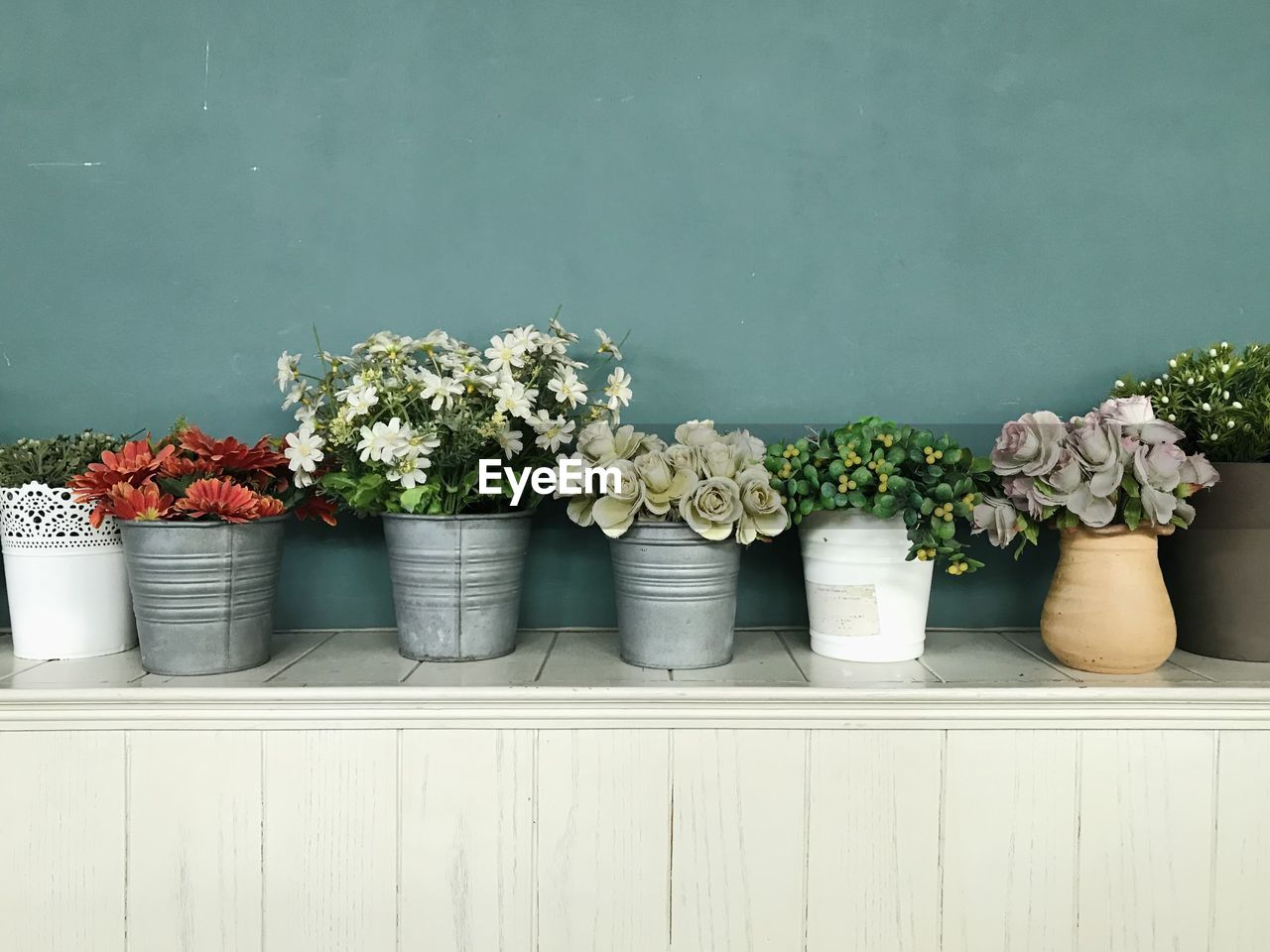 plant, flower, flowering plant, nature, freshness, no people, arrangement, green, flowerpot, growth, potted plant, wall - building feature, indoors, beauty in nature, container, copy space, variation, wall, white, flower arrangement, group of objects, wood, side by side, still life, floristry