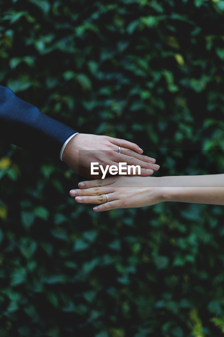 Close-up of newlywed couple against plant