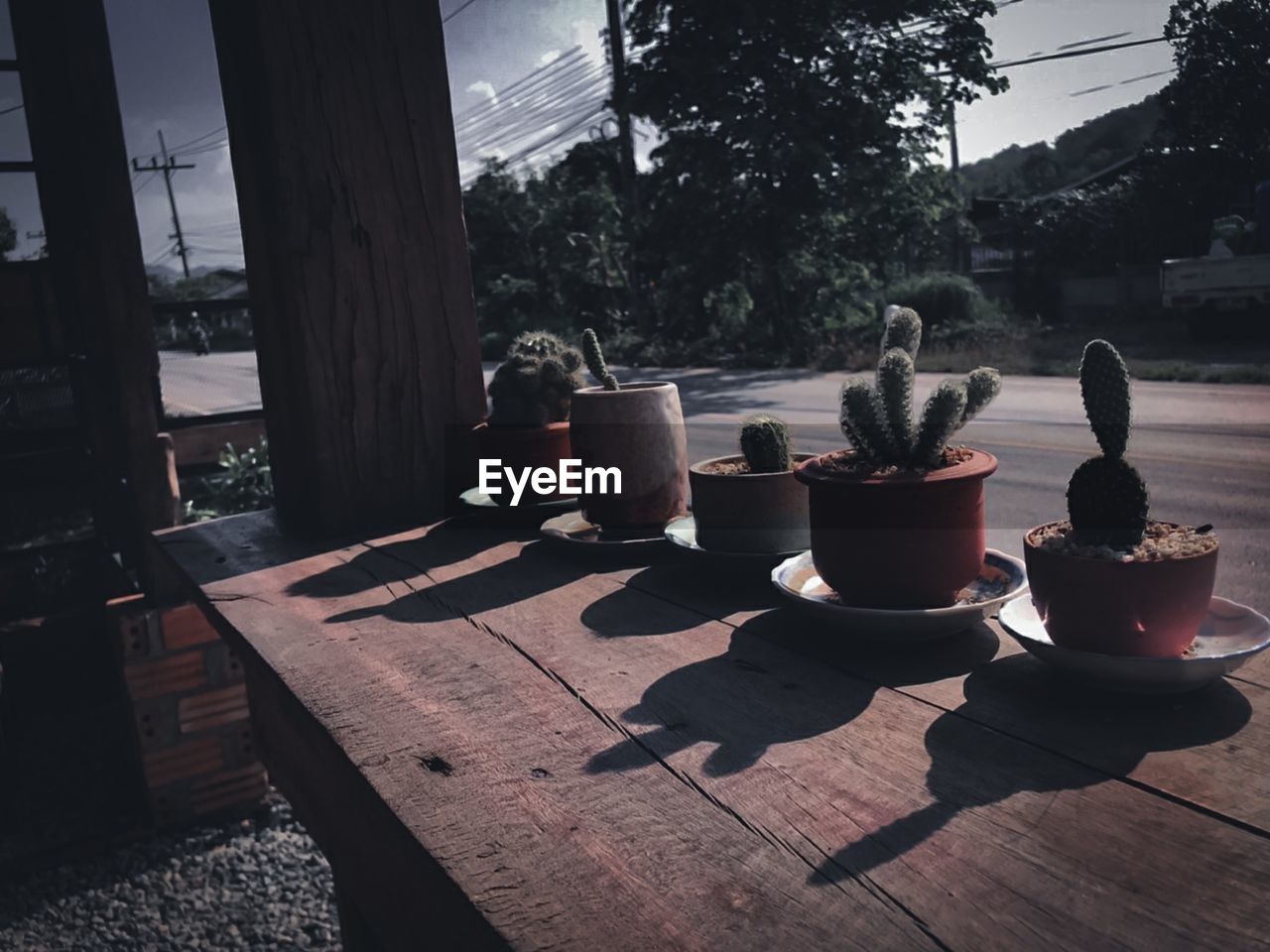 Potted plants on table by footpath against sky in city