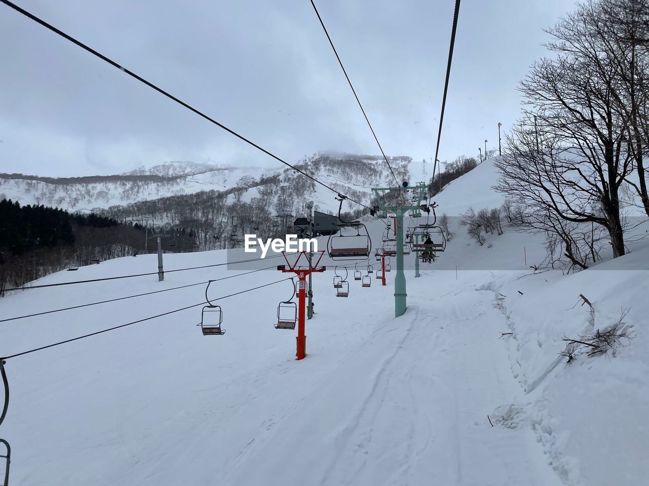 snow, winter, cold temperature, mountain, piste, ski, nature, ski equipment, scenics - nature, cable car, ski lift, tree, environment, landscape, beauty in nature, nordic skiing, sports, skiing, sky, cable, travel, plant, land, sports equipment, winter sports, vacation, holiday, white, day, overhead cable car, travel destinations, mountain range, transportation, trip, forest, tranquil scene, outdoors, tranquility, snowcapped mountain, non-urban scene, cloud, frozen, architecture, pinaceae, leisure activity