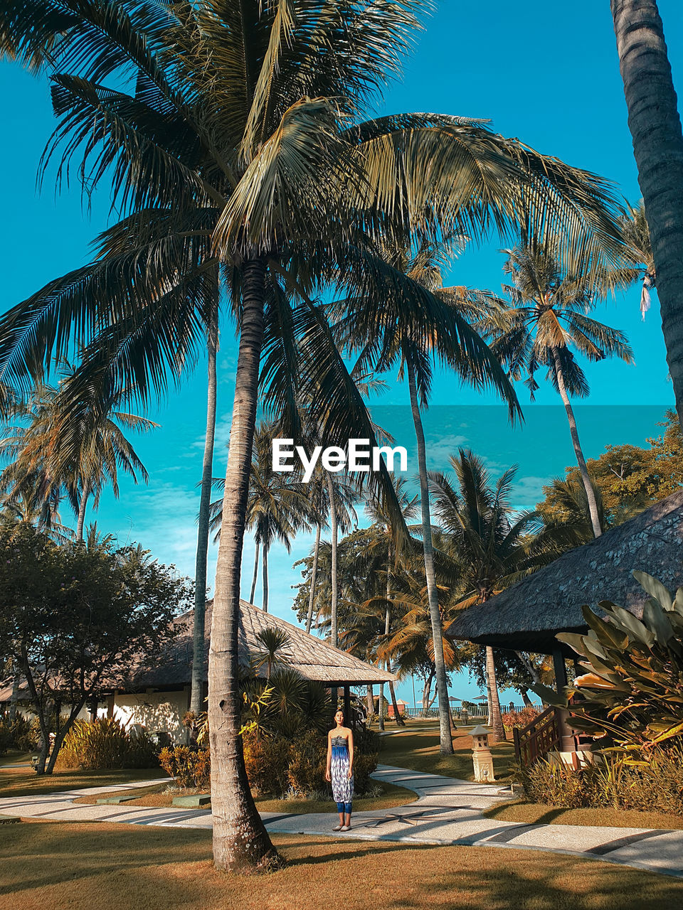 Mid distance view of woman standing by palm tree