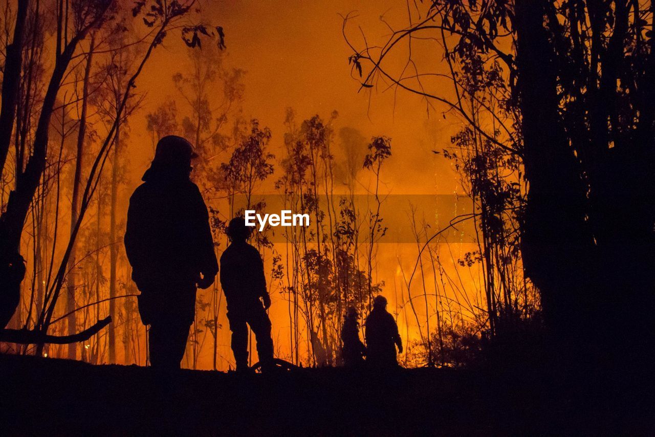 Low angle view of silhouette firefighters and trees during forest fire