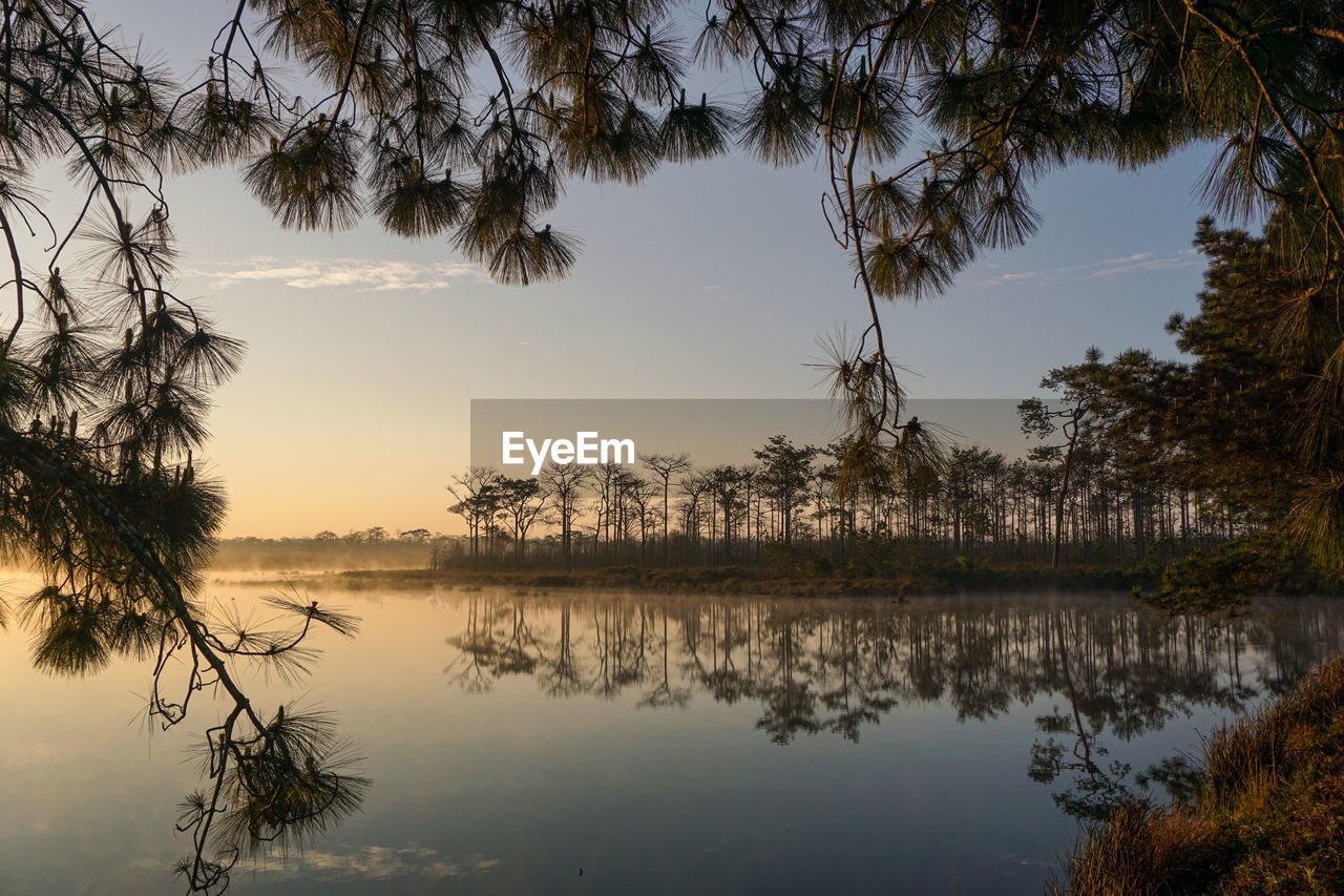 water, reflection, nature, tree, plant, morning, beauty in nature, lake, sky, tranquility, scenics - nature, environment, landscape, tranquil scene, travel destinations, sun, no people, dawn, land, twilight, tourism, reflection lake, travel, autumn, outdoors, tropical climate, sunrise, forest, beach, non-urban scene, cloud, idyllic, vacation, leaf, trip, silhouette, holiday, coniferous tree, sunlight, plant part, social issues, pinaceae, fog, palm tree, branch, fishing