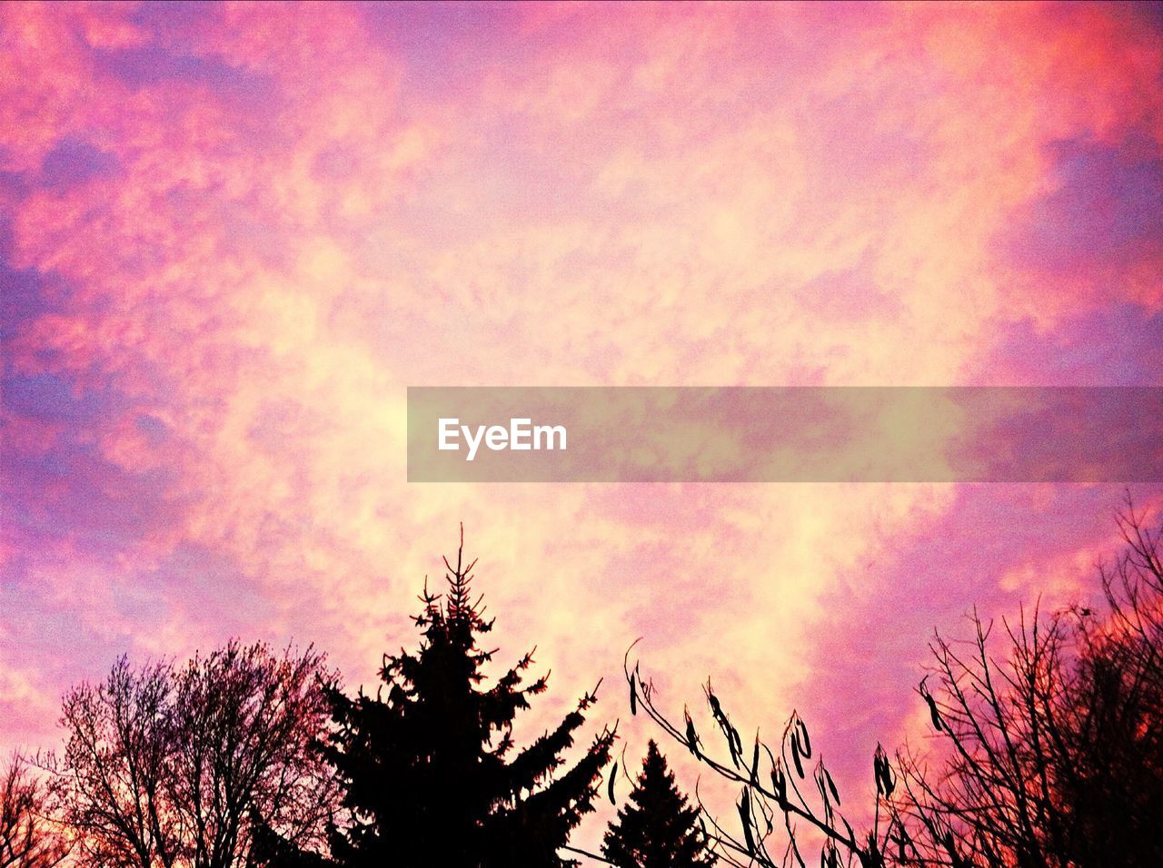 Low angle view of silhouette tree against romantic sky during sunset